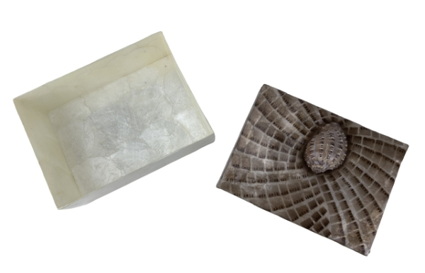 Capizbox mit Schnecke